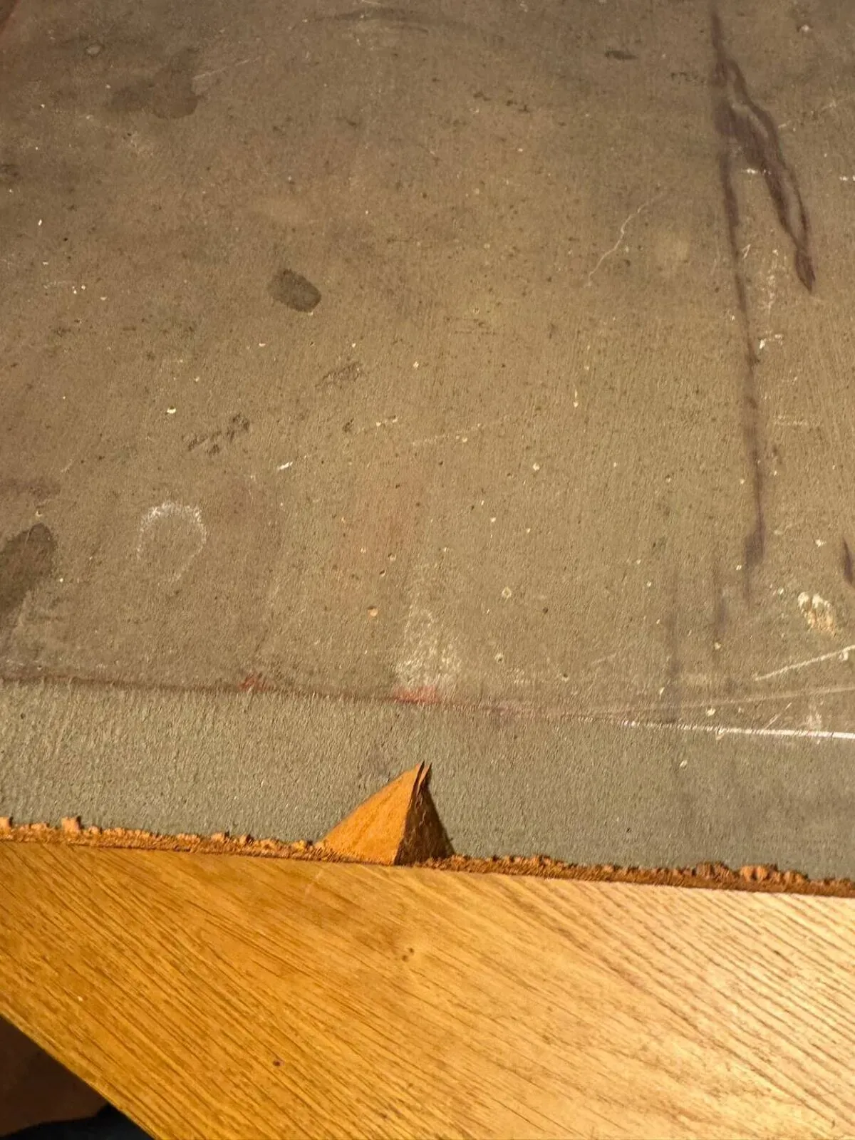 Illustration numéro 5 du produit Portrait d’un érudit XIX siècle