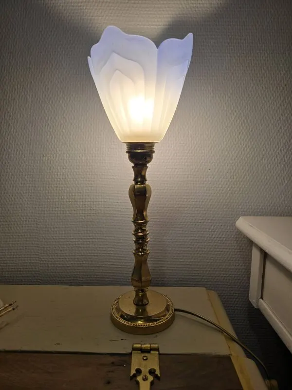 Illustration numéro 5 du produit Lampe à poser bleu doré laiton et tulipe opaline Art nouveau