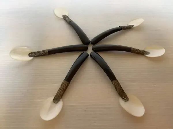 Illustration numéro 5 du produit Six cuillères à caviar en nacre anciennes