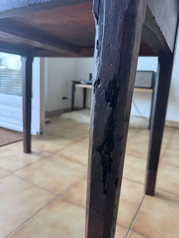 Illustration numéro 5 du produit Table d'appoint, bureau d’écolier