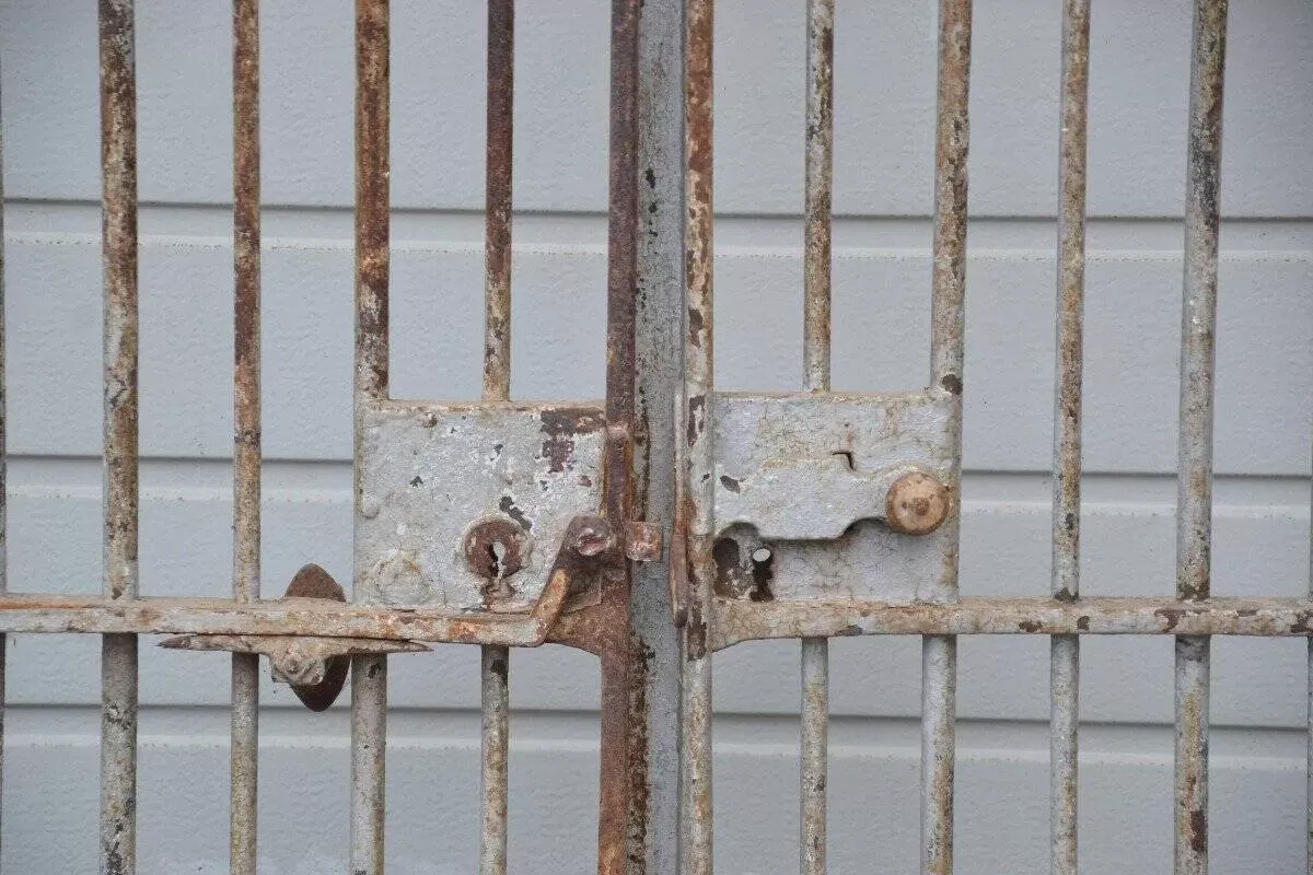 Illustration numéro 5 du produit Portail en fer forgé 180 x 213