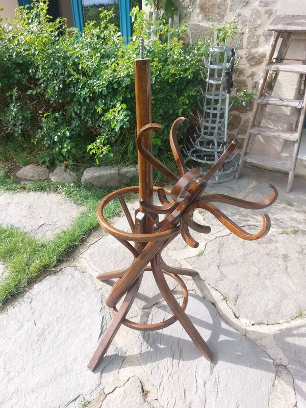Illustration numéro 5 du produit portemanteau perroquet, en bois de teinte foncée