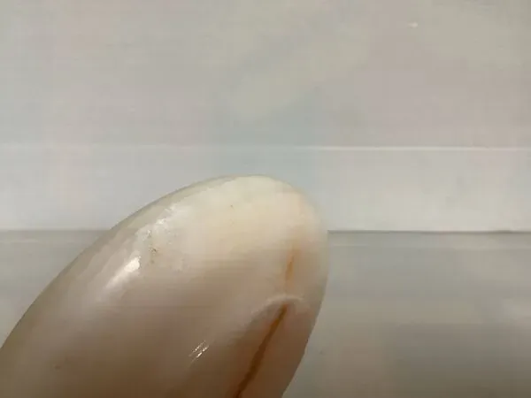 Illustration numéro 5 du produit Cendrier en albâtre