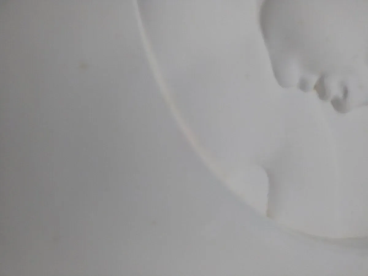 Illustration numéro 5 du produit Portrait moulé en bas relief sur plâtre - Atelier SEDAP