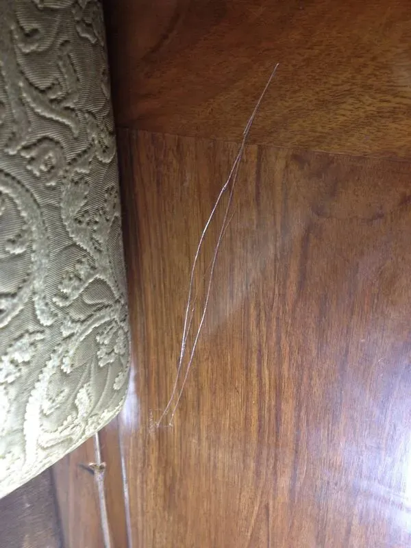 Illustration numéro 5 du produit Rare fauteuil club slezak en noyer massif époque art déco