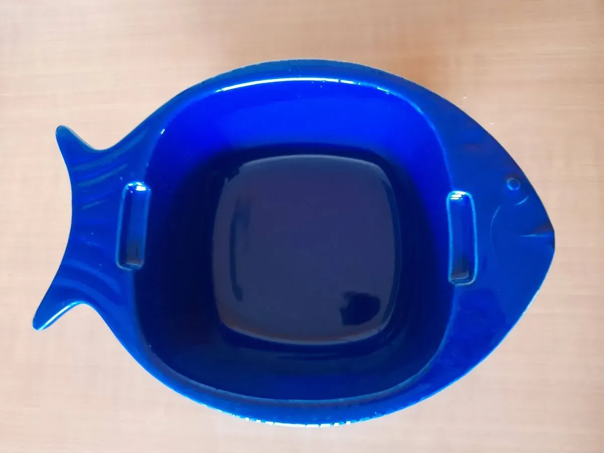 Illustration numéro 5 du produit Plat de cuisson poisson céramique - BCI Bretagne Céramique Industrie