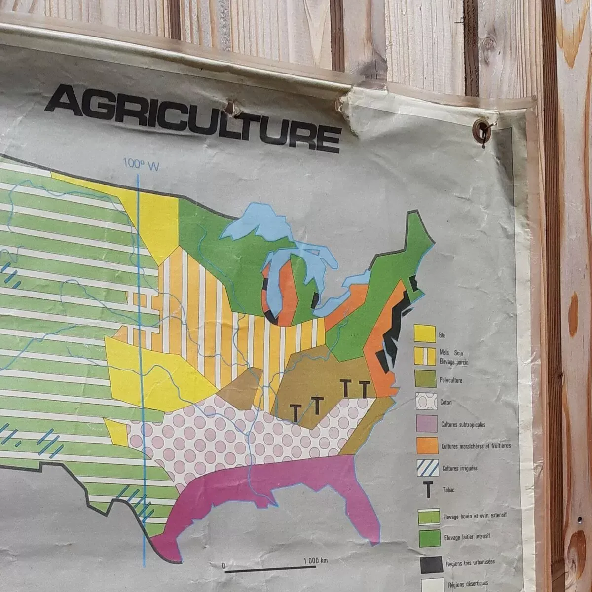 Illustration numéro 5 du produit Carte scolaire représentant les Etats-Unis d'Amérique