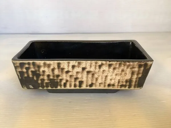 Illustration numéro 5 du produit Petite jardinière cactus Aldi Reuver Holland