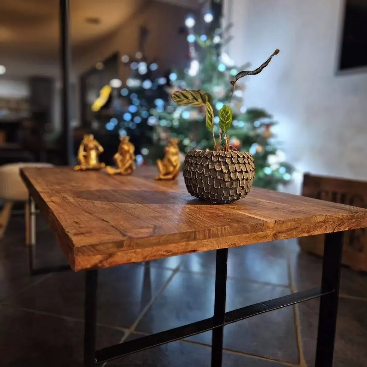 Illustration numéro 5 du produit Table basse artisanale en bois exotique & acier plié - indus