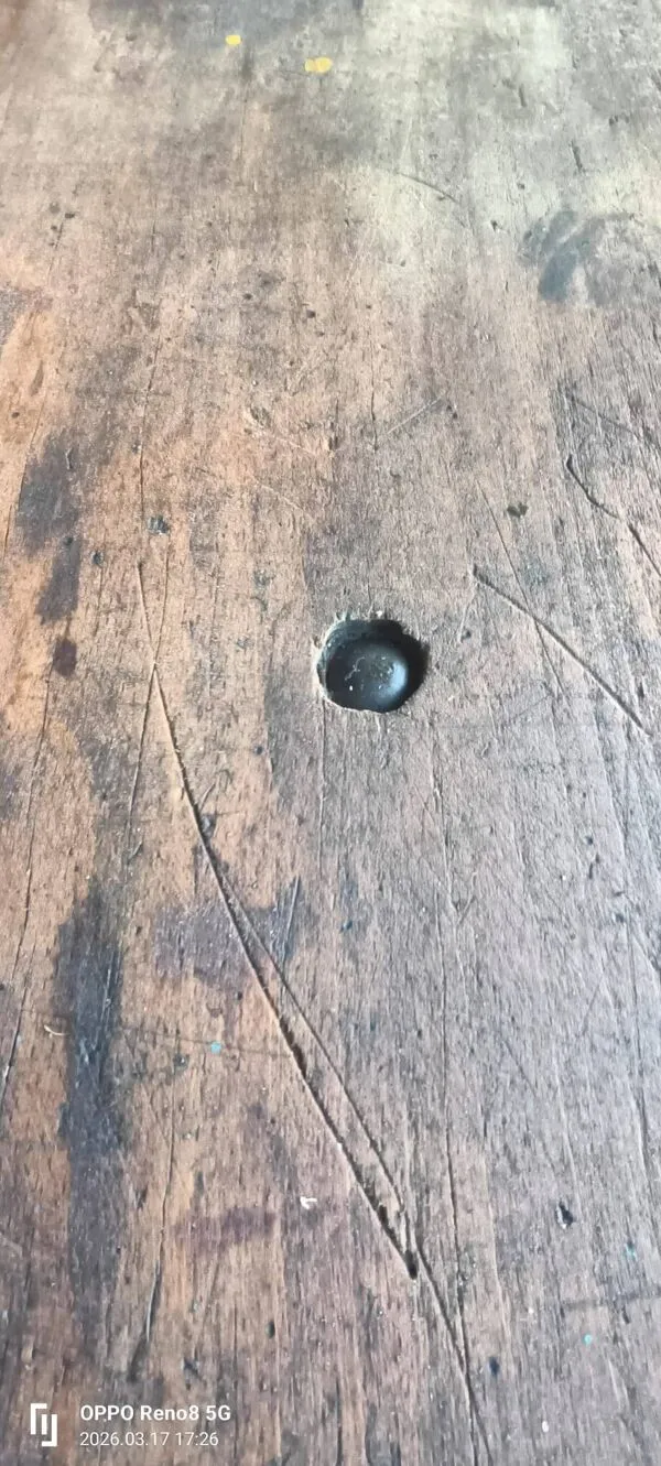 Illustration numéro 5 du produit Ancien etabli