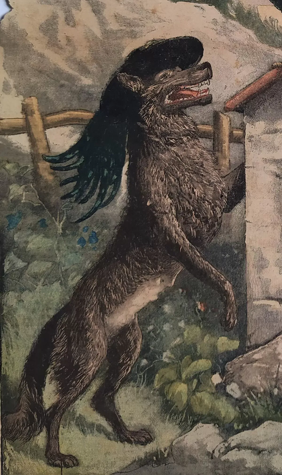 Illustration numéro 5 du produit Viens Poupoule ! Viens ! ...1903