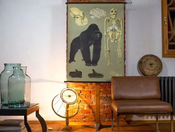 Illustration numéro 5 du produit Affiche murale de l’école de Jung-Koch-Quentell ''gorille'' 1968