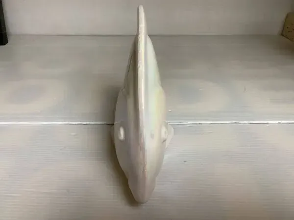 Illustration numéro 5 du produit Poisson blanc irisé