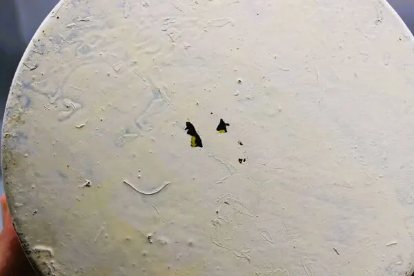 Illustration numéro 5 du produit Cache pot Mathieu mategot, années 50 - design xx eme