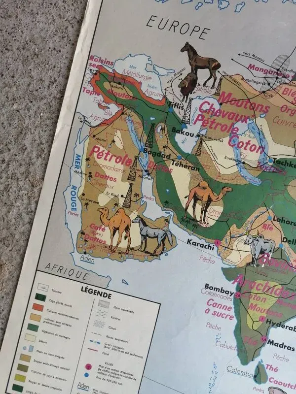 Illustration numéro 5 du produit Carte scolaire vintage mdi Amérique du Nord-Asie.