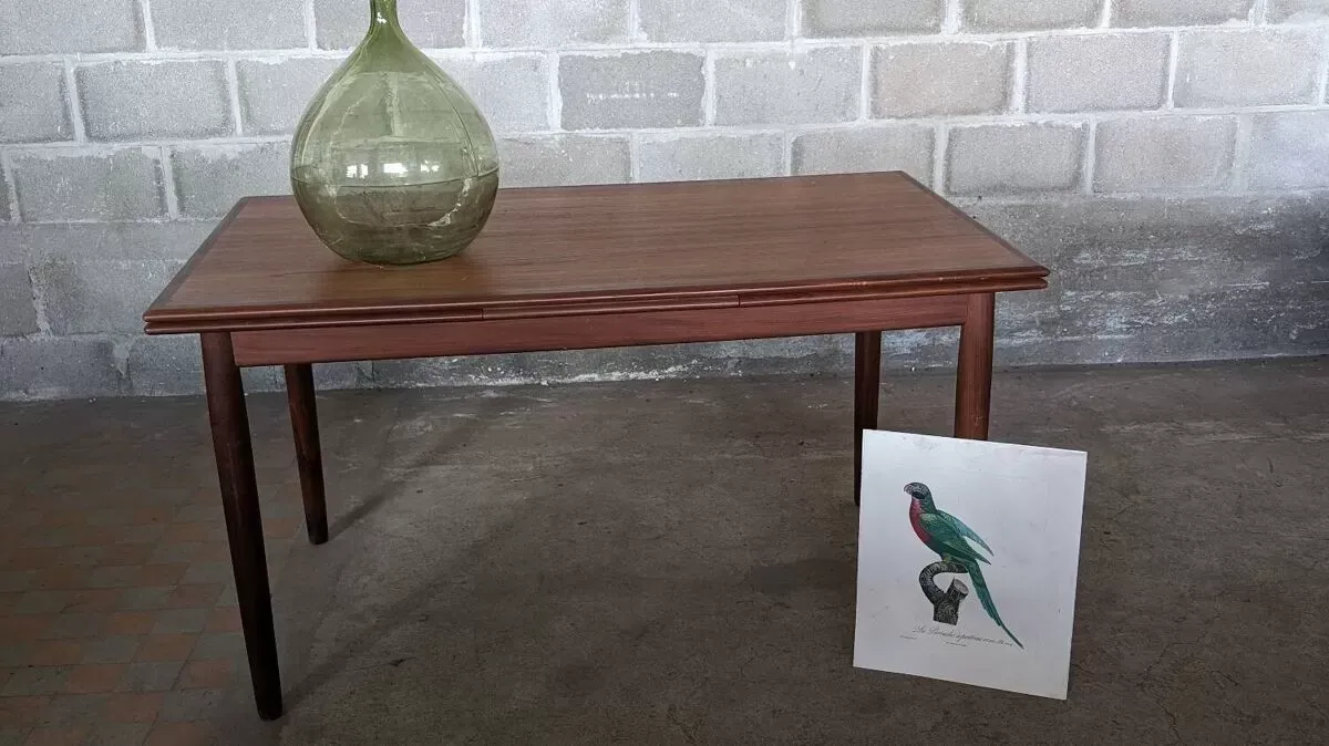 Illustration numéro 5 du produit Table scandinave avec rallonges