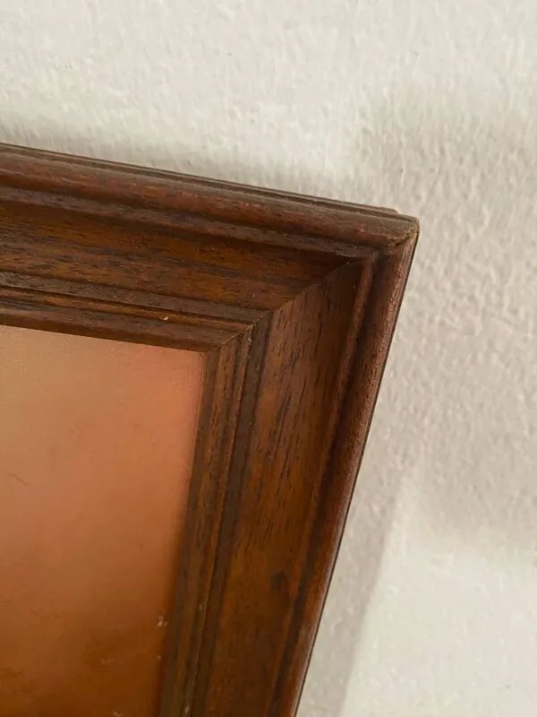 Illustration numéro 5 du produit Tableau nature morte Robert Cox, années 70