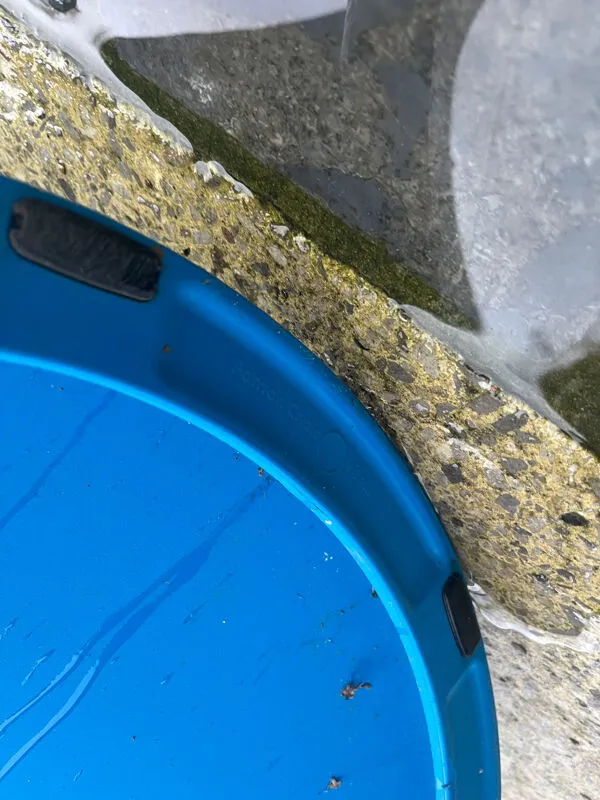 Illustration numéro 5 du produit Duo de chaises Panton – Verner Panton pour Vitra – Bleu – Édition sign