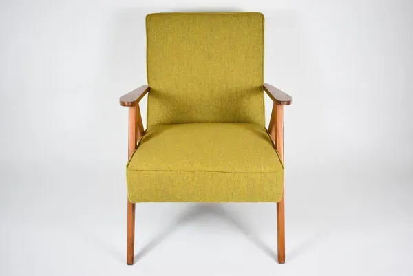 Illustration numéro 5 du produit Fauteuil, années 1960