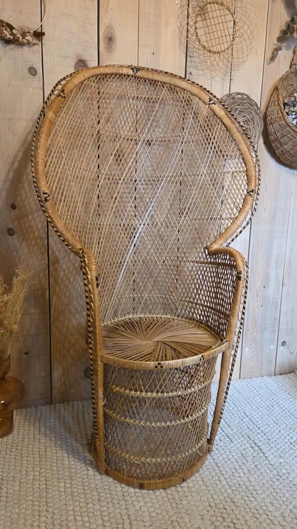 Illustration numéro 5 du produit Fauteuil Emmanuelle  en rotin