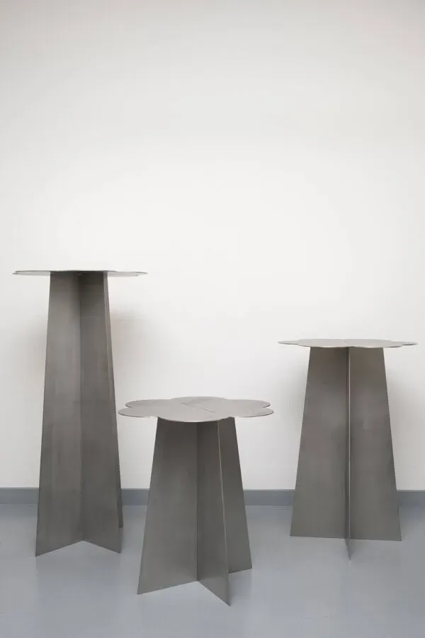 Illustration numéro 5 du produit 3 tables fleurs en acier inoxydable