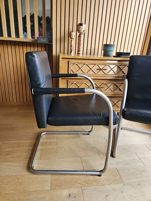 Illustration numéro 5 du produit Paire de fauteuil Visasoft