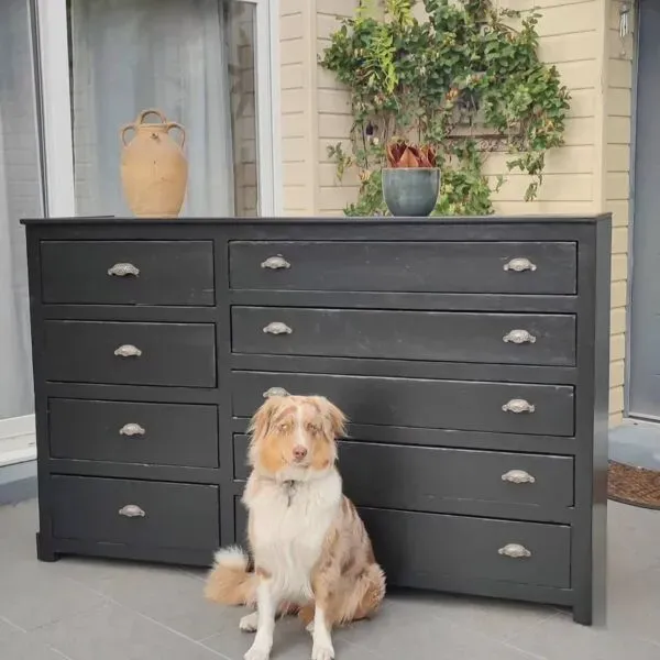 Illustration numéro 5 du produit Meuble de métier rénové