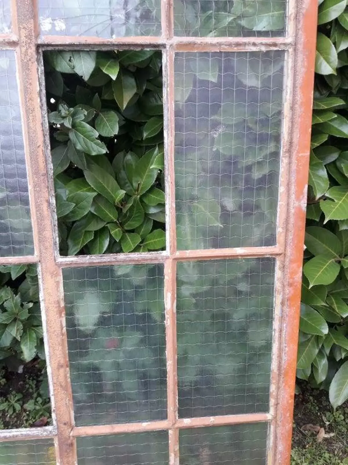 Illustration numéro 5 du produit Fenêtre L107xH174 industrielle cintrée métal verrière cadre verres armés