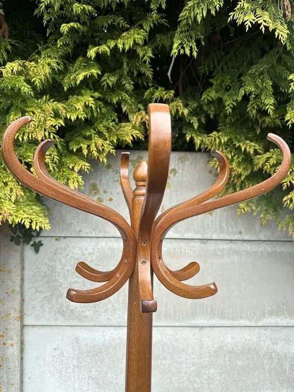 Illustration numéro 5 du produit Porte-manteau – Baumann – Rangement – Vintage bois courbé Perroquet