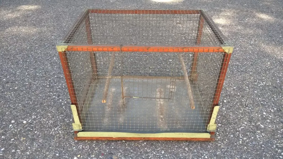 Illustration numéro 5 du produit Cage à oiseaux art populaire ancien