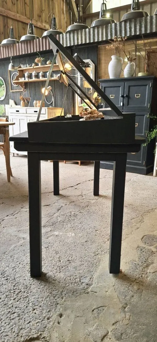 Illustration numéro 5 du produit Vitrine ancienne sur pieds