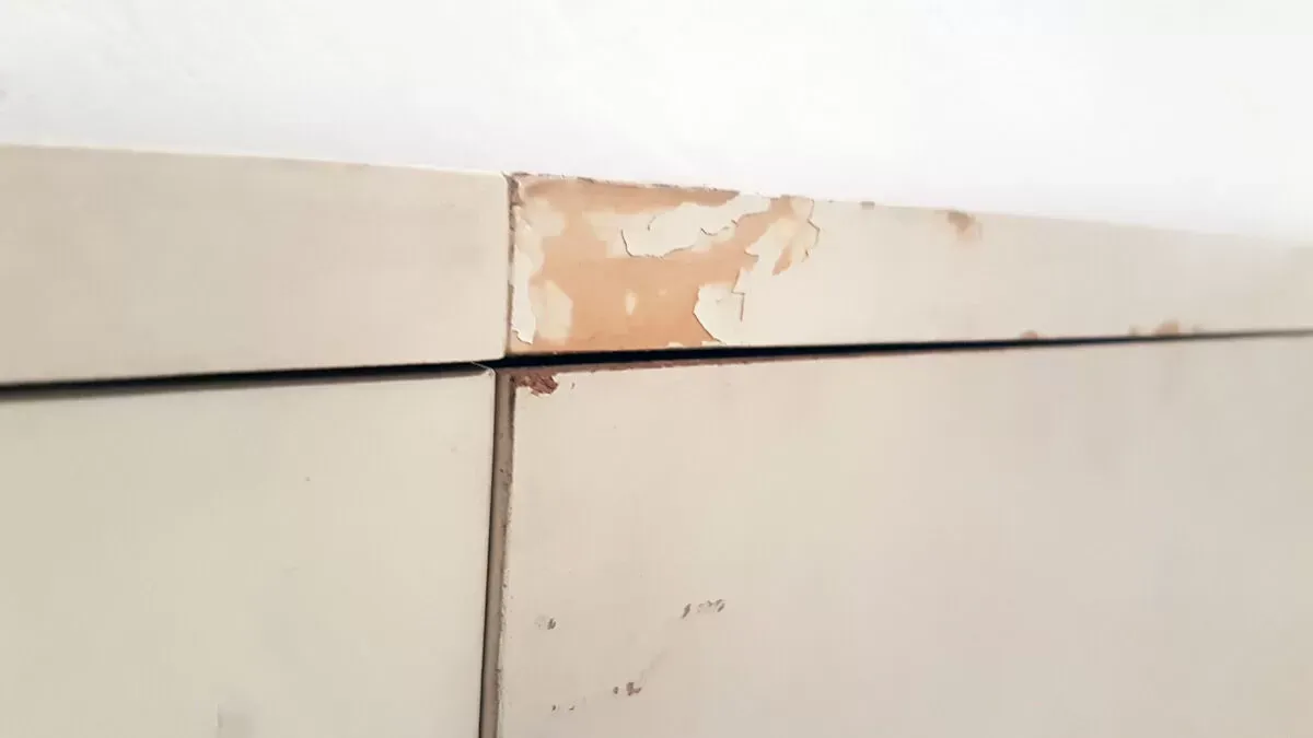 Illustration numéro 5 du produit Lit DF 2000 par Raymond Loewy