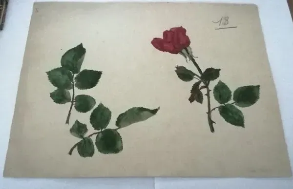 Illustration numéro 5 du produit Dessin d'école,d'étude années 20 ''Rose