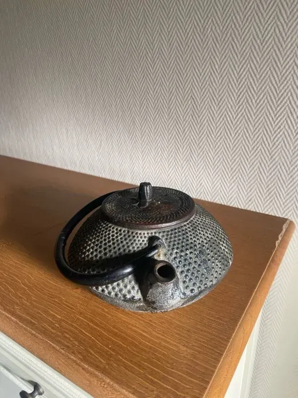 Illustration numéro 5 du produit Theiere japonaise en fonte signée