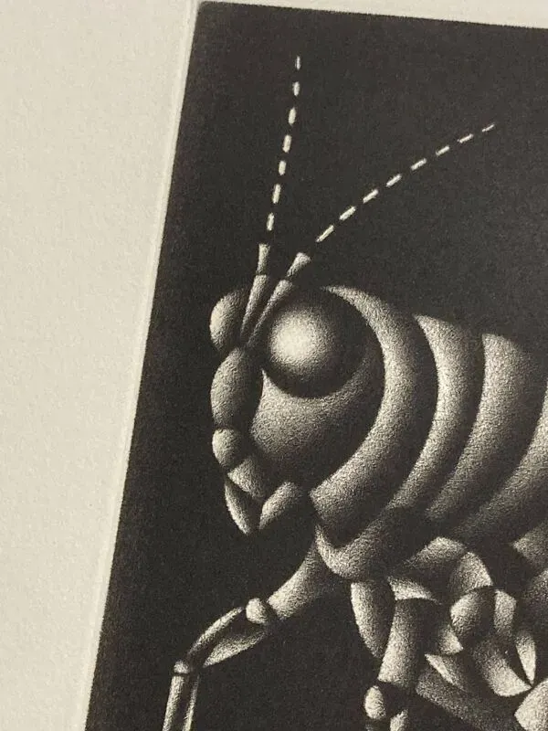 Illustration numéro 5 du produit Mario avati (1921-2009), criquet, manière noire, 1970