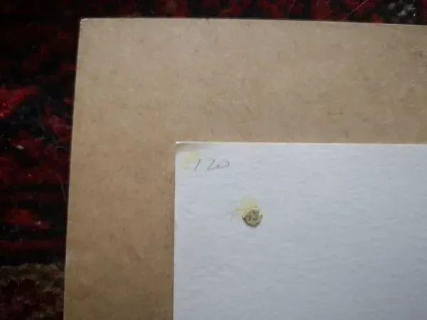 Illustration numéro 5 du produit Lithographie Nadia regardant à droite, d'après Henri Matisse - 1948