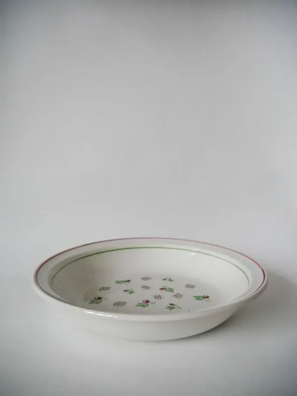 Illustration numéro 5 du produit Plat creux digoin sarreguemines rose et vert 1940