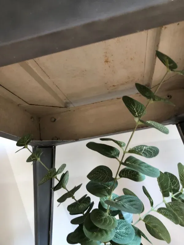 Illustration numéro 5 du produit Table