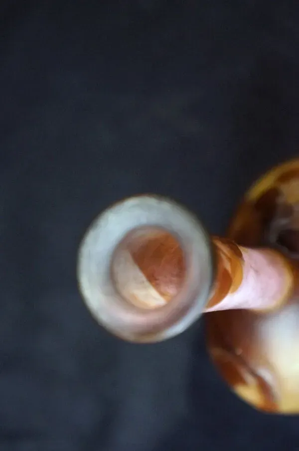 Illustration numéro 5 du produit Vase Émile Gallé Art Nouveau vers 1895–1904