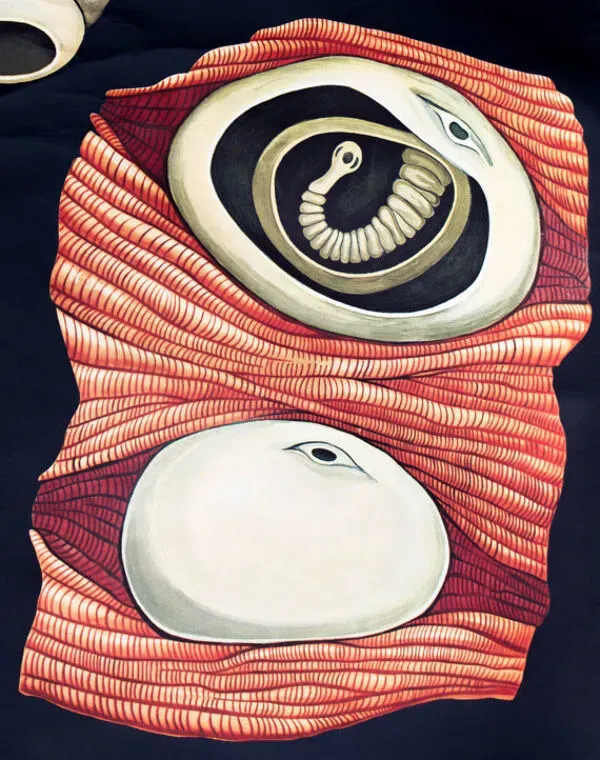 Illustration numéro 5 du produit Affiche murale de l’école de Jung-Koch-Quentell ''worms'' 1972